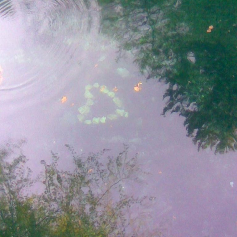 Herzform aus Steinchen im Wasser, umgeben von Pflanzen und sanften Wellen.